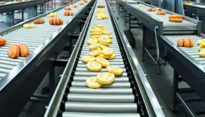 Processamento de Alimentos